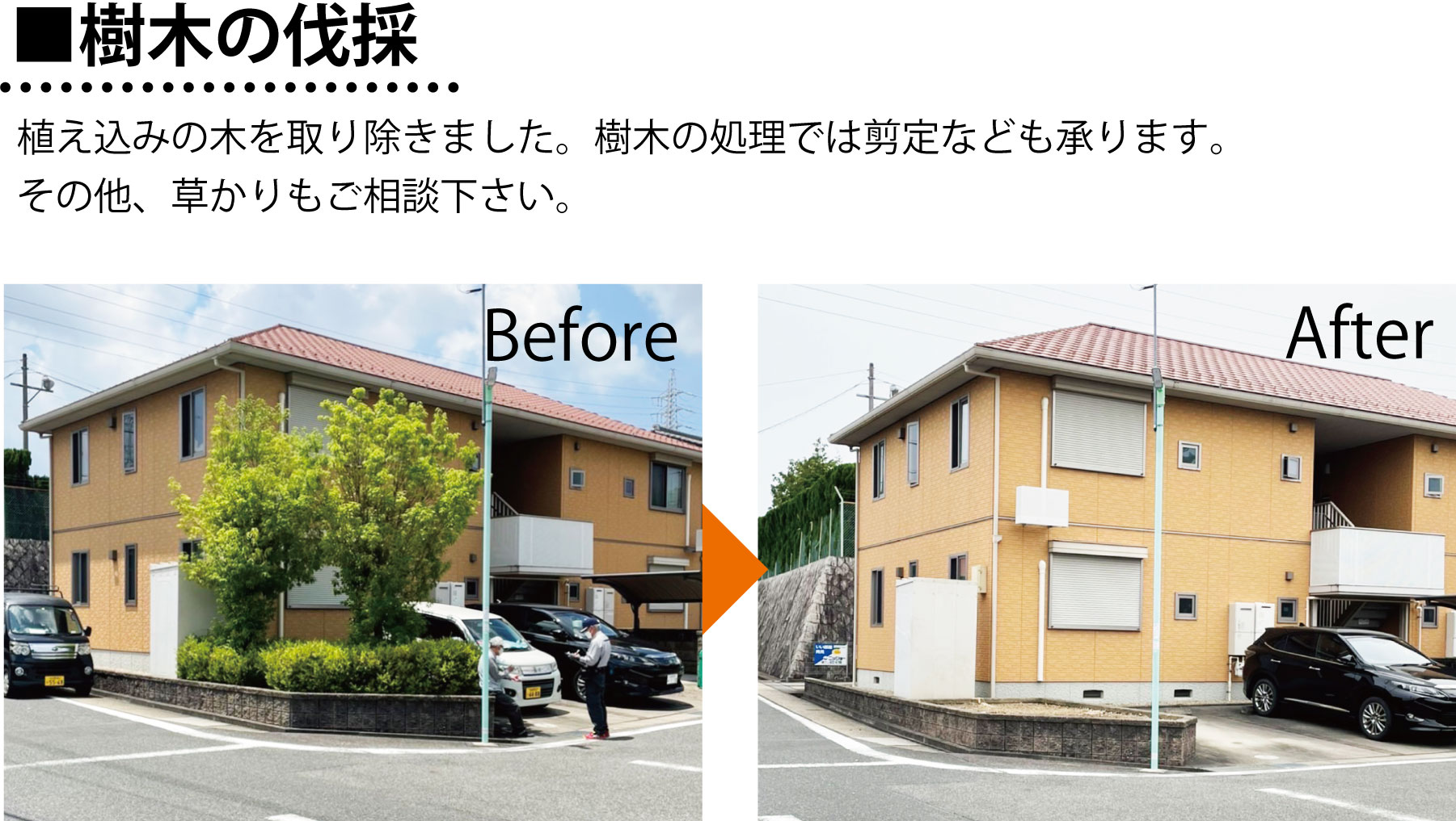 アパートマンションの生垣の剪定