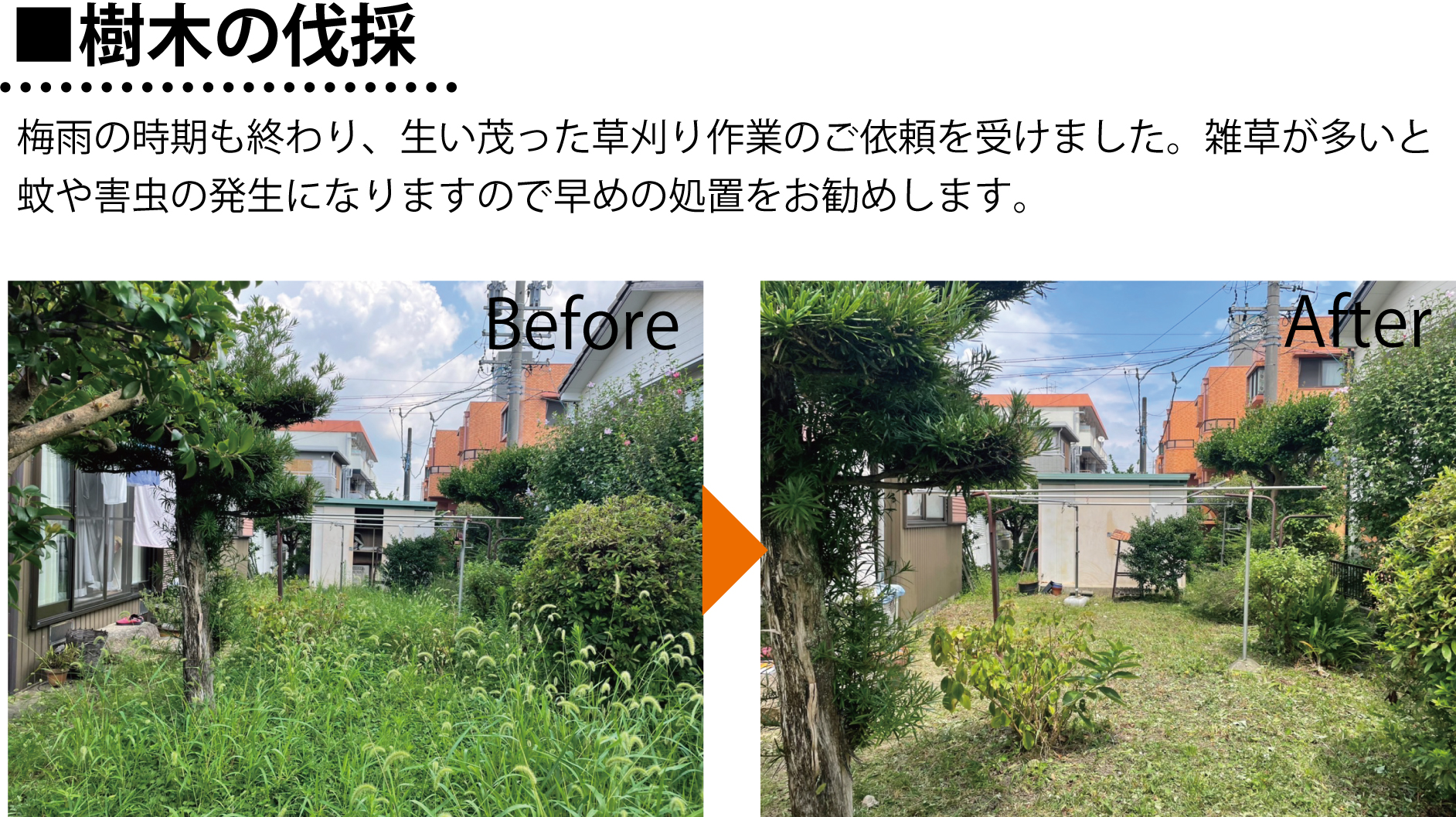 アパートマンションの生垣の剪定