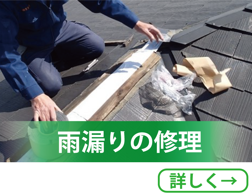 雨どいの掃除から庭木の剪定、伐採でもなんでもお住いのお困り事を解決します。お気軽にお問い合わせください。ニシケンリフォームです。