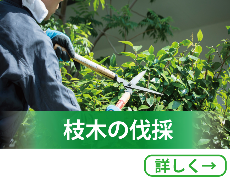 大高、緑区の庭木の伐採、剪定はニシケンリフォームへお任せください。